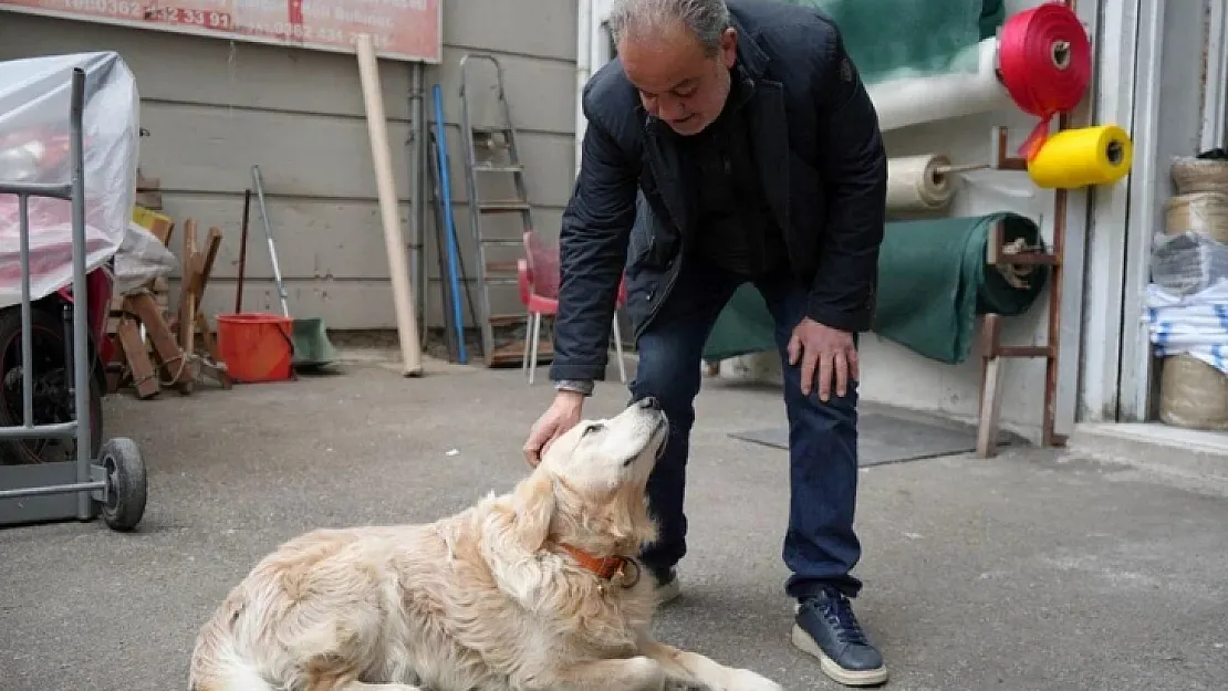 Köpeğin doktora havlaması sahibine 700 bin TL'ye patladı