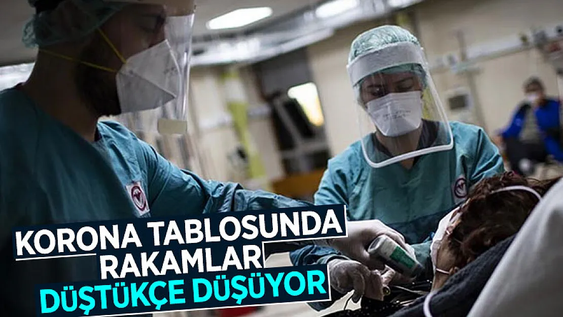 24 Nisan Türkiye koronavirüs tablosu