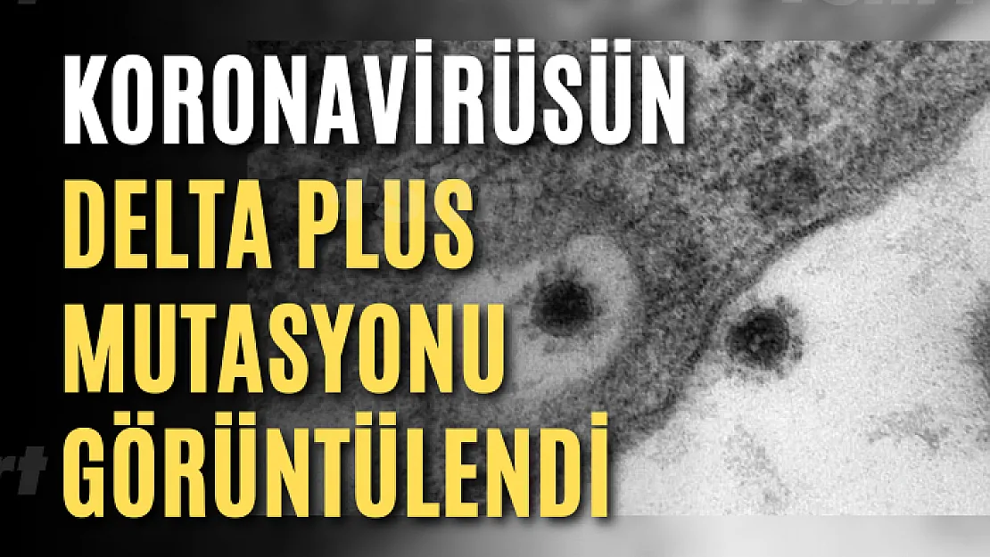 Koronavirüsün Delta Plus Mutasyonu Görüntülendi