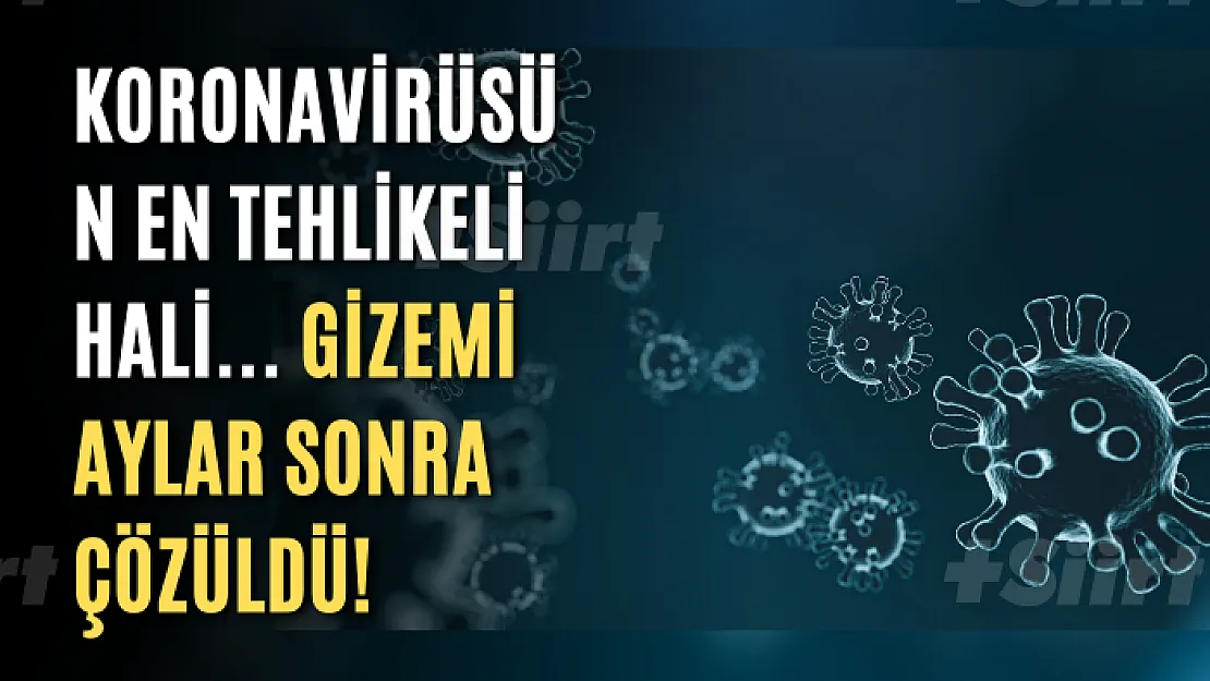 Koronavirüsün en tehlikeli hali... Gizemi aylar sonra çözüldü!