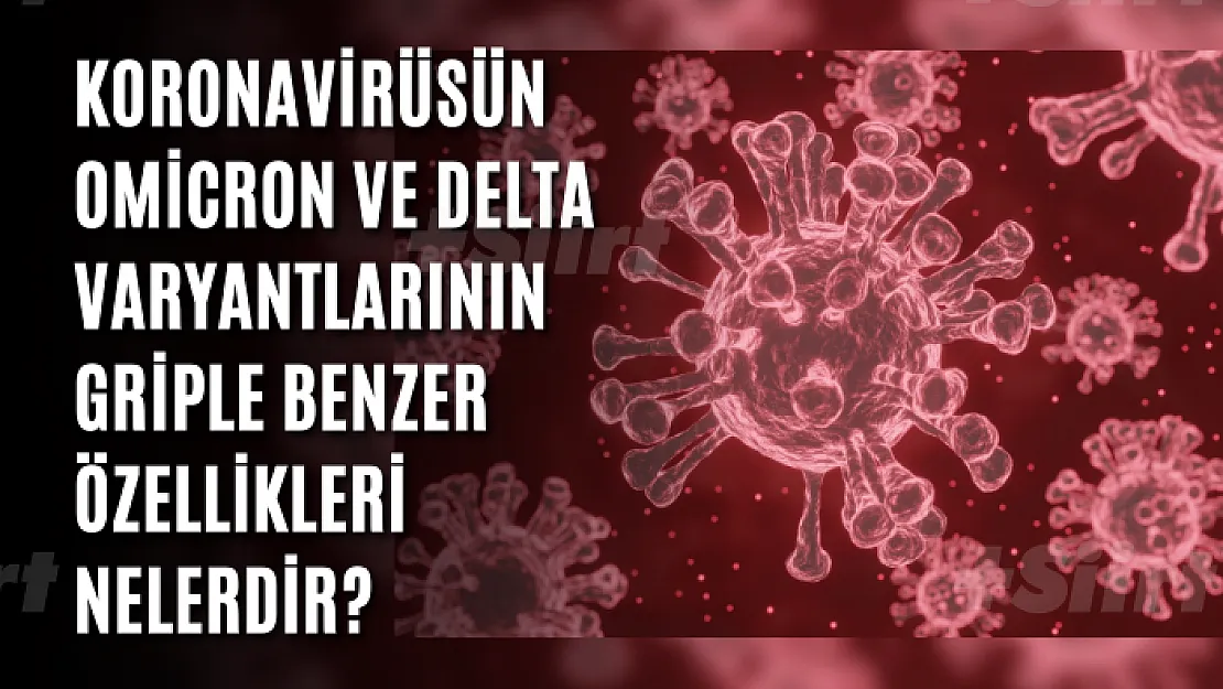 Omicron ve Delta varyantlarının griple benzer özellikleri nelerdir?