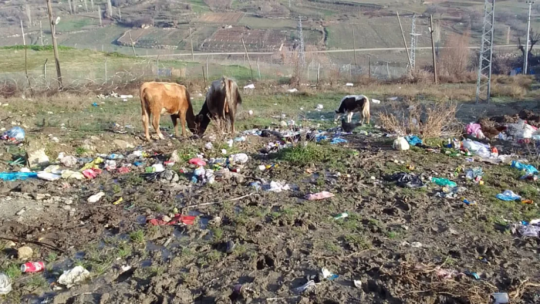 Köy Kırsalına Atılan Çöpler Tehlike Oluşturuyor