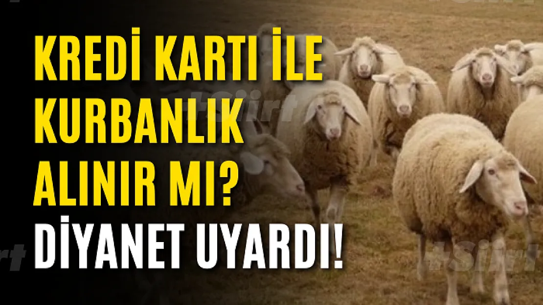 Kredi Kartı İle Kurbanlık Alınır Mı? Diyanet Uyardı!