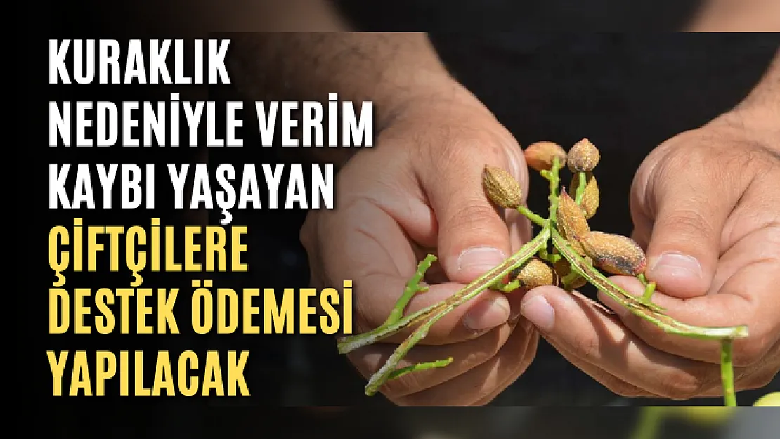 Kuraklık Nedeniyle Verim Kaybı Yaşayan Çiftçilere Destek Ödemesi Yapılacak