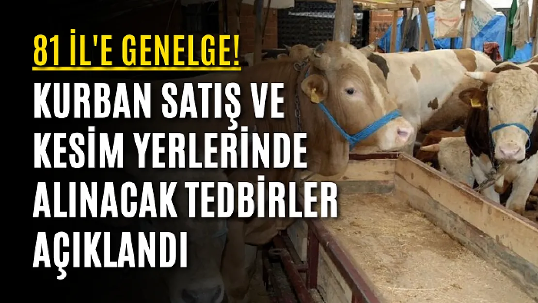 81 İl'e genelge! Kurban satış ve kesim yerlerinde alınacak tedbirler açıklandı