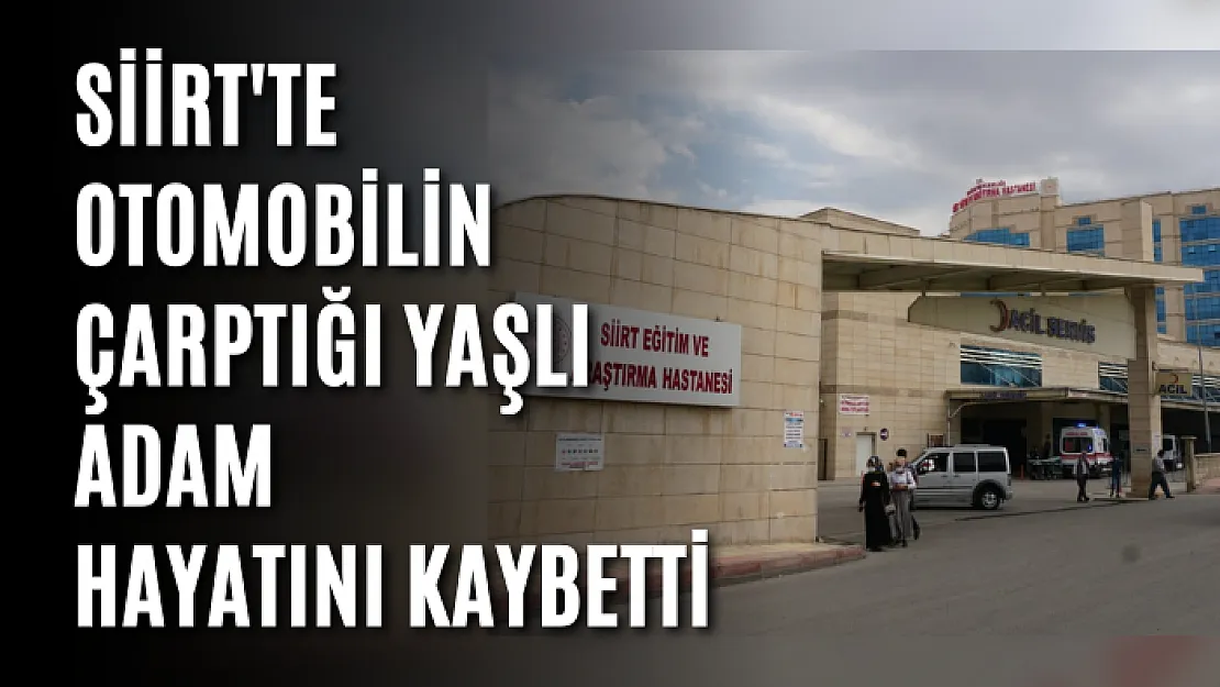 Siirt'te Otomobilin Çarptığı Yaşlı Adam Hayatını Kaybetti