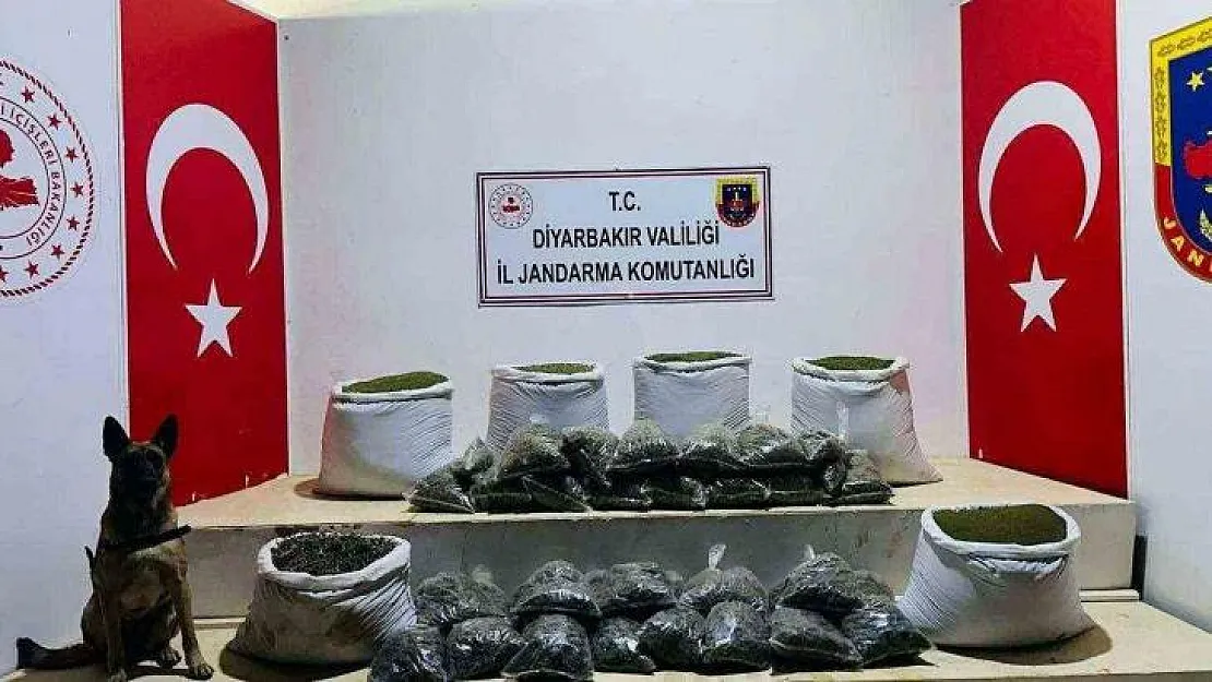 Lice'de 226 kilo esrar ele geçirildi