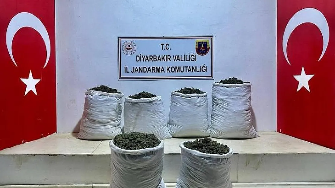 Lice'de 3 ayrı noktada 79 kilo esrar ele geçirildi