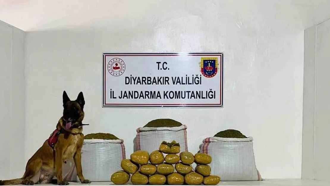 Lice'de 76 kilo toz esrar ele geçirildi