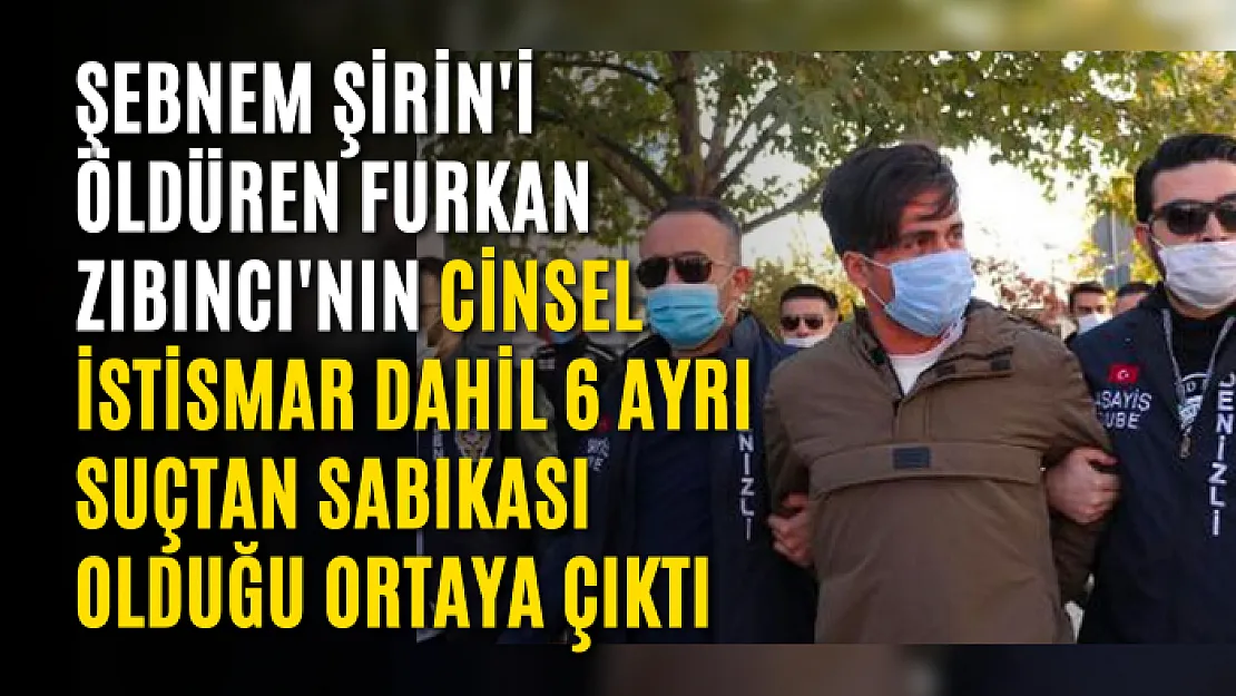 Şebnem Şirin'i öldüren Furkan Zıbıncı'nın cinsel istismar dahil 6 ayrı suçtan sabıkası olduğu ortaya çıktı