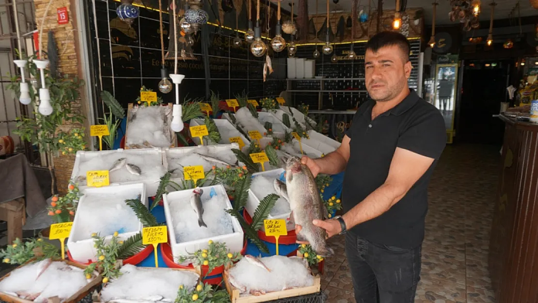 Marmara, Akdeniz, Karadeniz ve Ege'nin Tüm Balık Çeşitleri Siirt'teki Tezgahlarda! İşte fiyatlar...