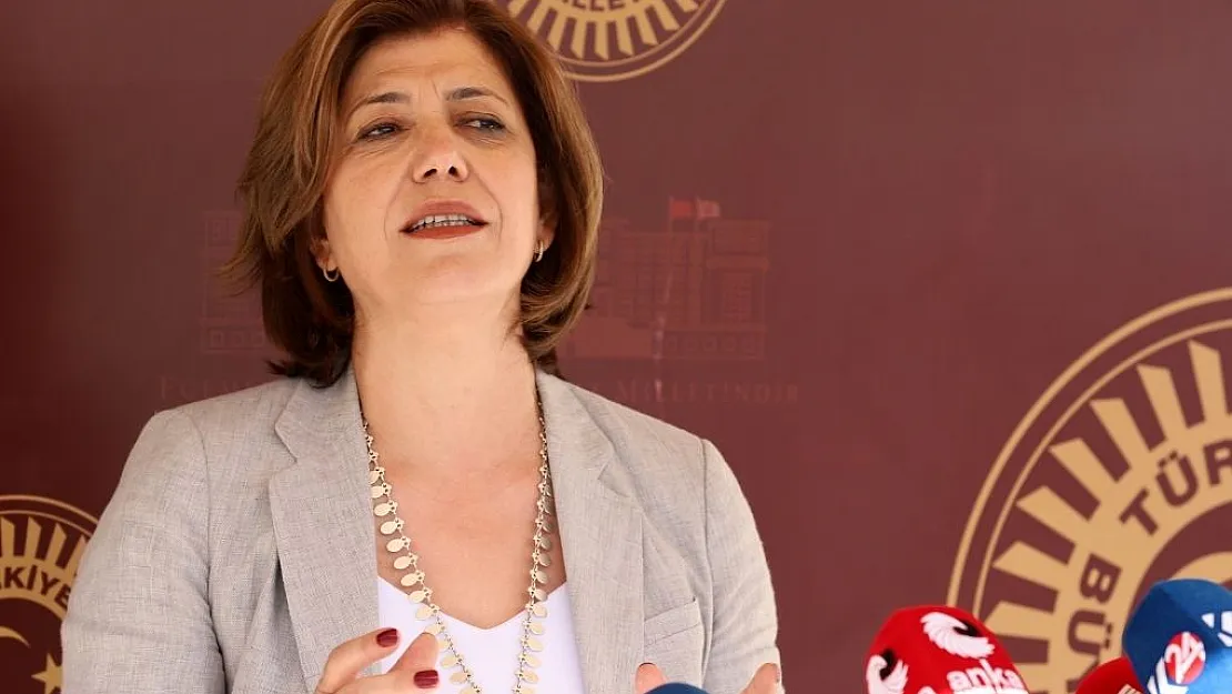 Meral Danış Beştaş, 'Şu anda milyonlarca insan borç içinde'