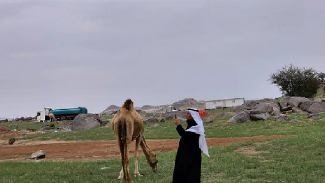 Mekke'deki dağların yeşile bürünmesi Kıyamet alameti mi? O hadis akıllara geldi... Bilim insanlarından şok açıklama