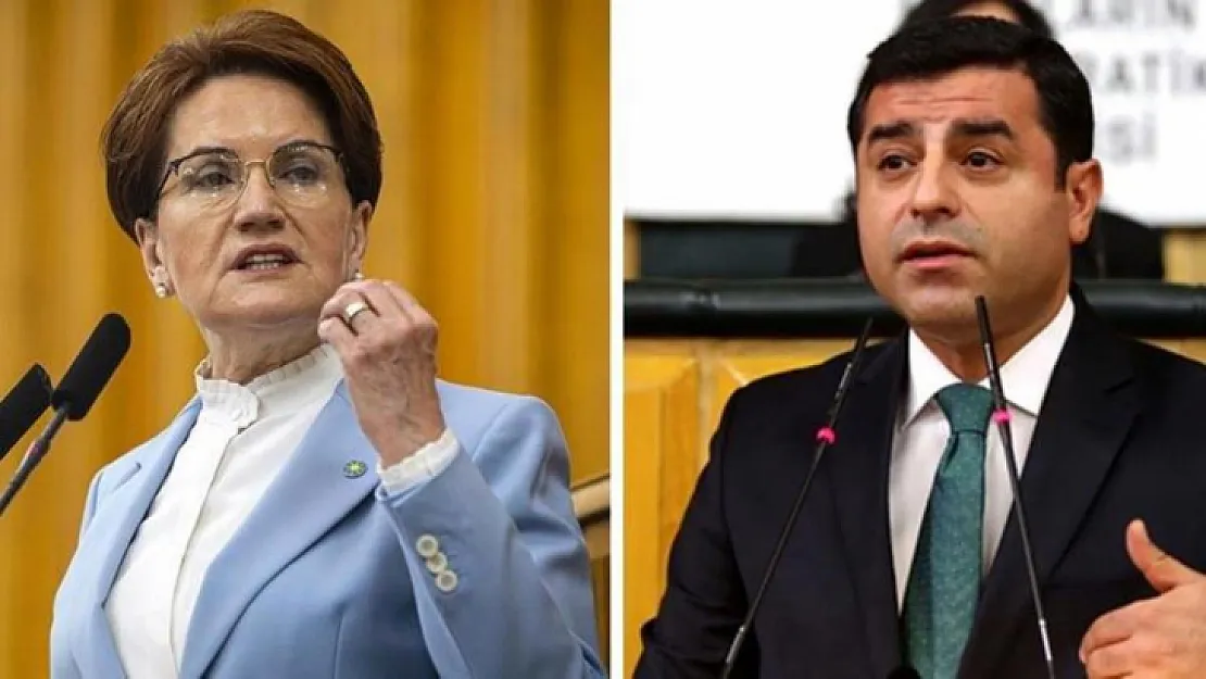 Meral Akşener, Demirtaş'la aralarında geçen diyaloğu ilk kez anlattı