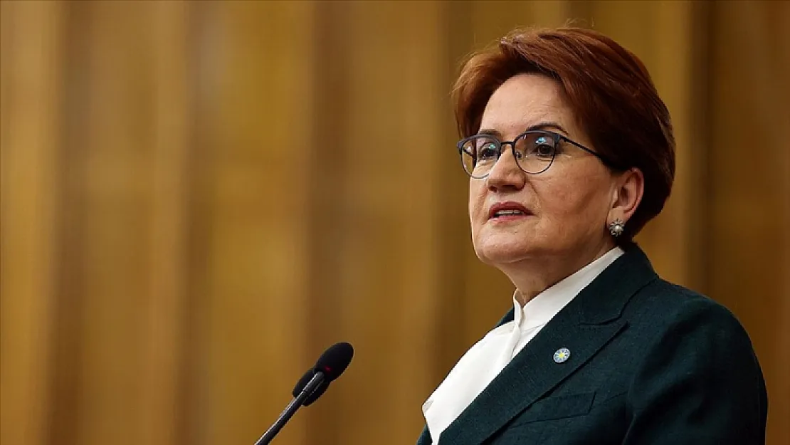 Meral Akşener'i köpek ısırdı