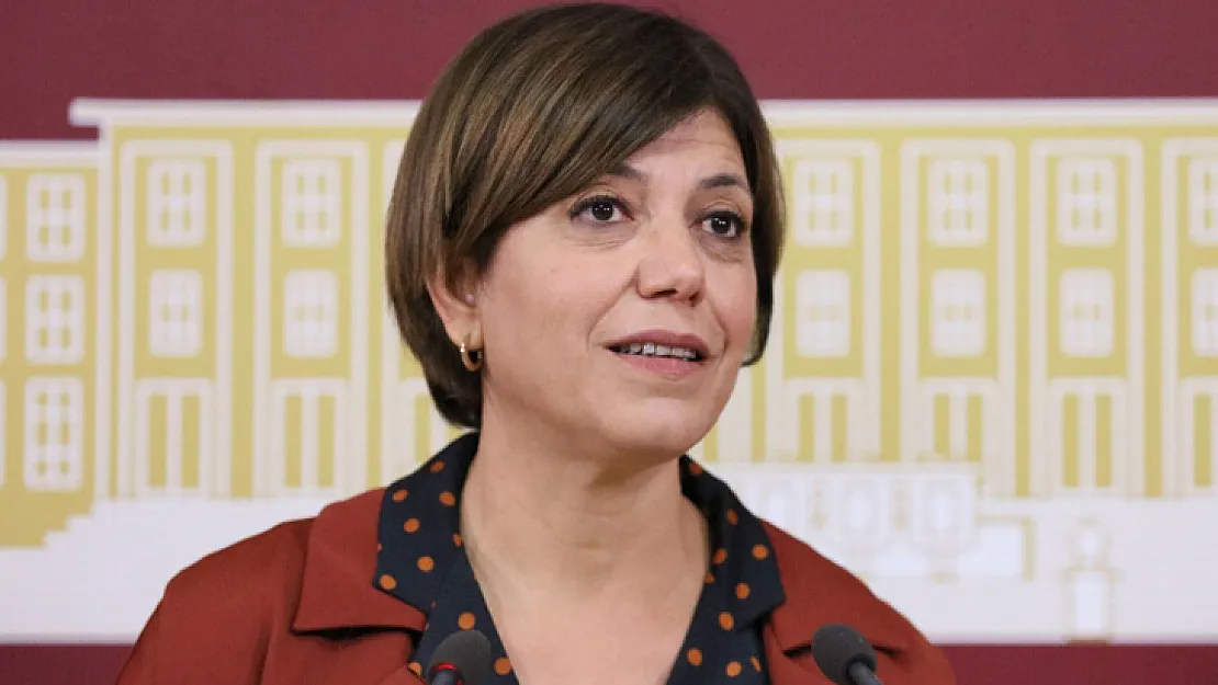 Meral Danış Beştaş: Kürt Düşmanlığı Dünyaya Yayılıyor