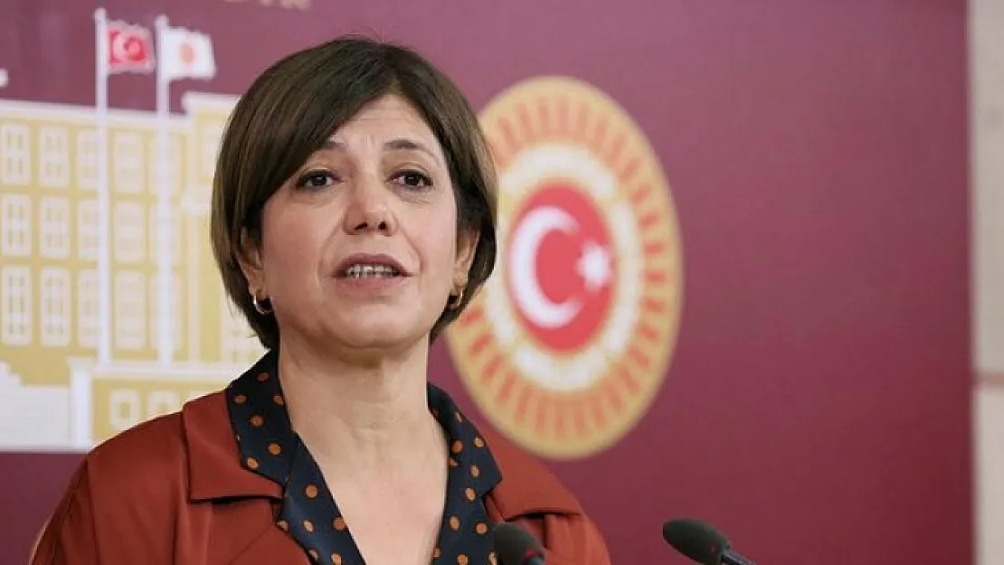 Meral Danış Beştaş: Siirt'te meşe, bıttım, fıstık ağaçları kesilip mangal kömürü olarak satılıyor