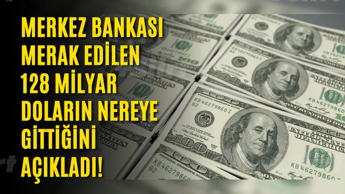 Merkez Bankası, merak edilen 128 milyar doların nereye gittiğini açıkladı!