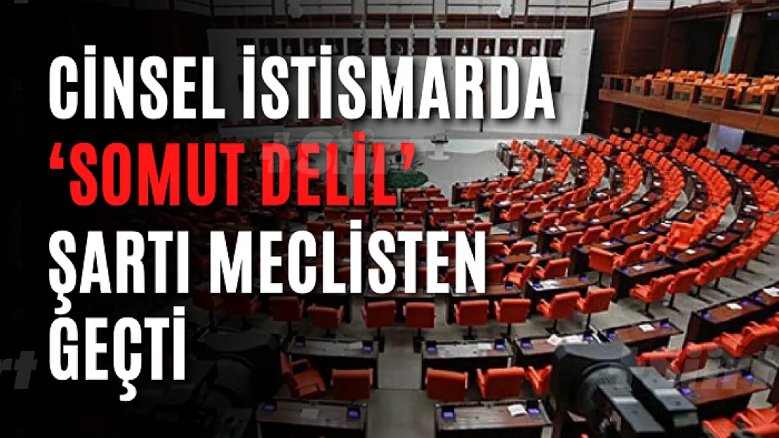 Cinsel İstismarda 'Somut Delil' Şartı Meclisten Geçti