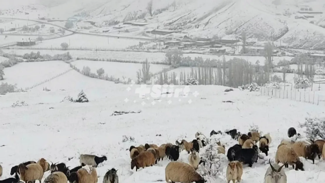 Meteoroloji Müdürlüğü Siirt'i Uyardı: Sıcaklık 0'ın Altına Düşecek