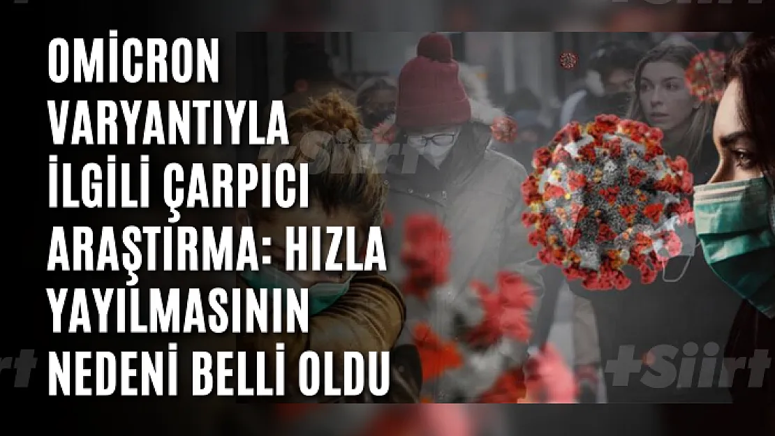 Omicron varyantıyla ilgili çarpıcı araştırma: Hızla yayılmasının nedeni belli oldu