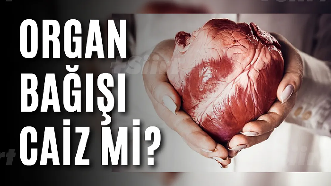 Organ bağışı caiz mi?