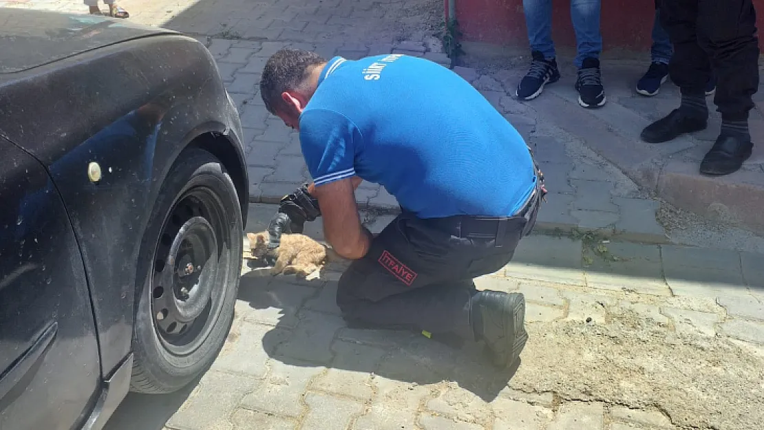 Otomobilde Sıkışan Kedinin Yardımına İtfaiye Ekipleri Koştu