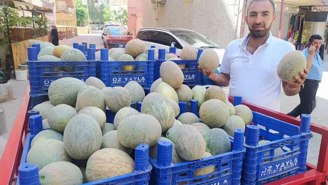 Sadece Siirt Köylerinde Yetişen Şimmam Salıho Piyasada 