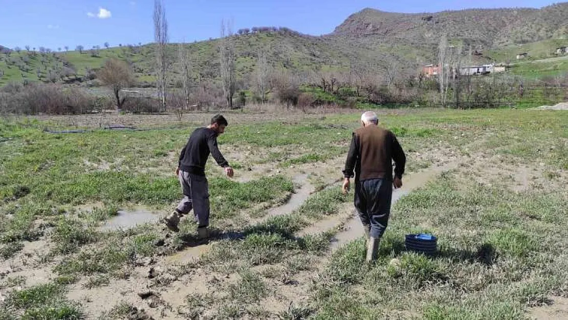 Sason'da şiddetli yağış sonrası dere taştı, çilek bahçesi su altında kaldı