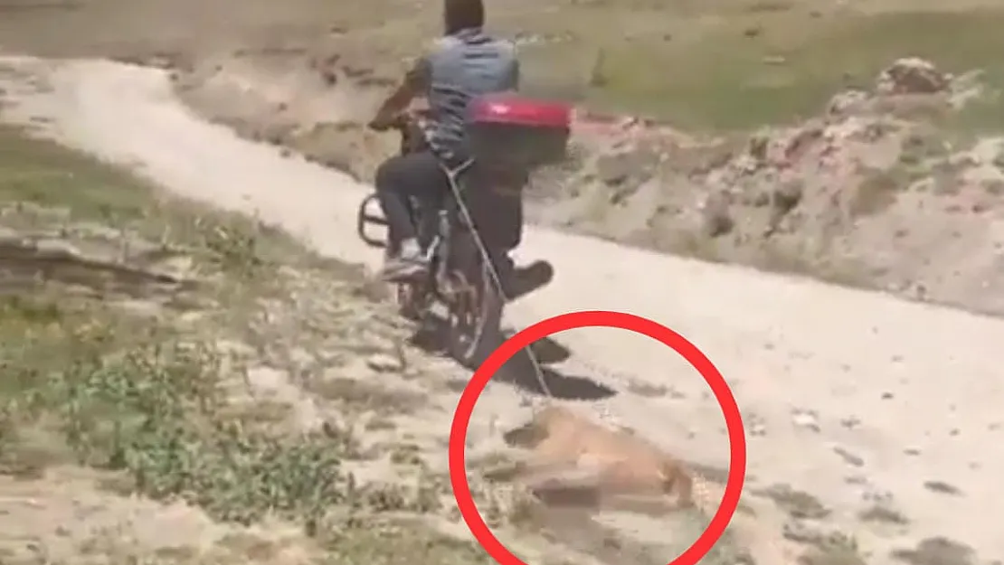 Siirt'te Köpeği Motosikletle Sürükleyen Gencin Savunması Ortaya Çıktı