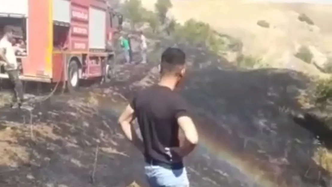 Siirt'te 15 Dönümlük Buğday Tarlası Yandı