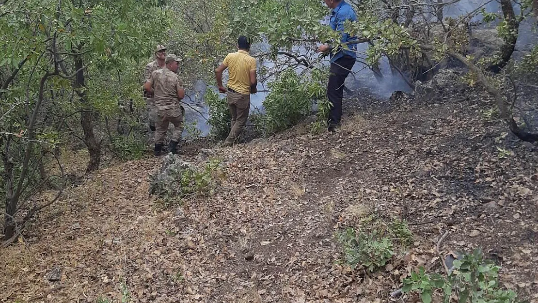 Siirt'in iki ilçesinde başlayan orman yangınları söndürüldü