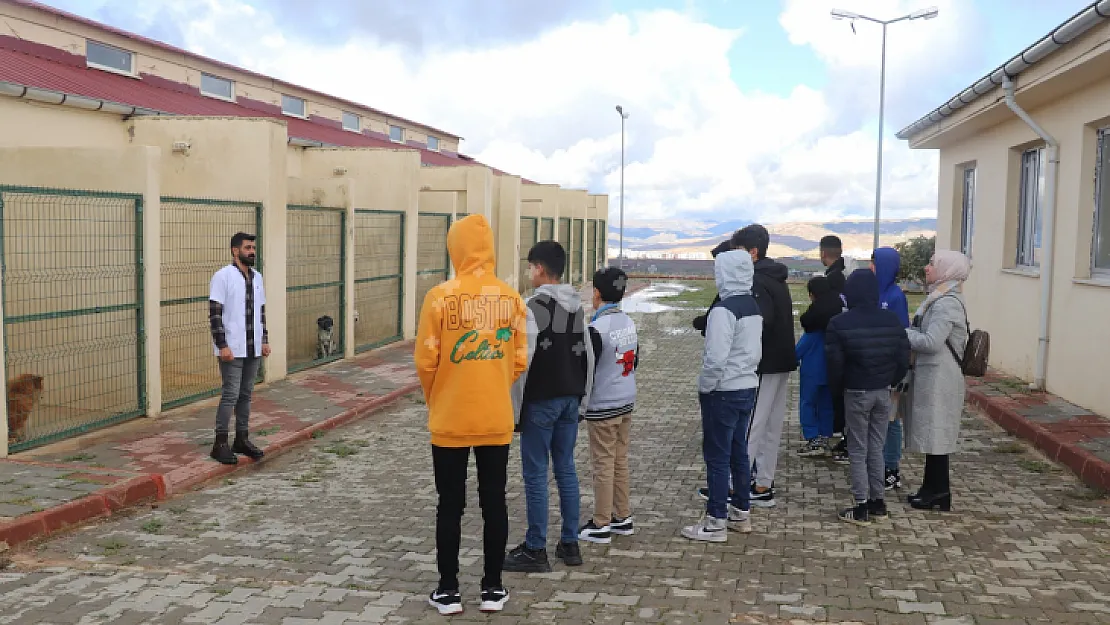 Sevgi Evleri'nde Kalan Öğrenciler, Siirt Hayvan Barınağını Ziyaret Etti!