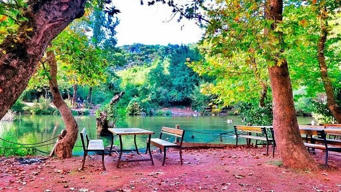 Sıcaklık 50 Dereceye Dayandı, Siirt'te Hâlâ Nefes Alacak Bir Mesire Alanı Yok!
