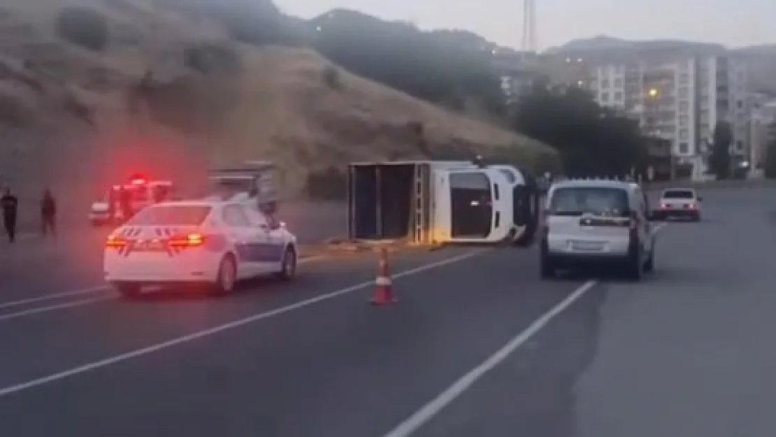 Siirt Baykan'da Hayvan Yüklü Kamyonet Devrildi: 1 Hayvan Telef Oldu
