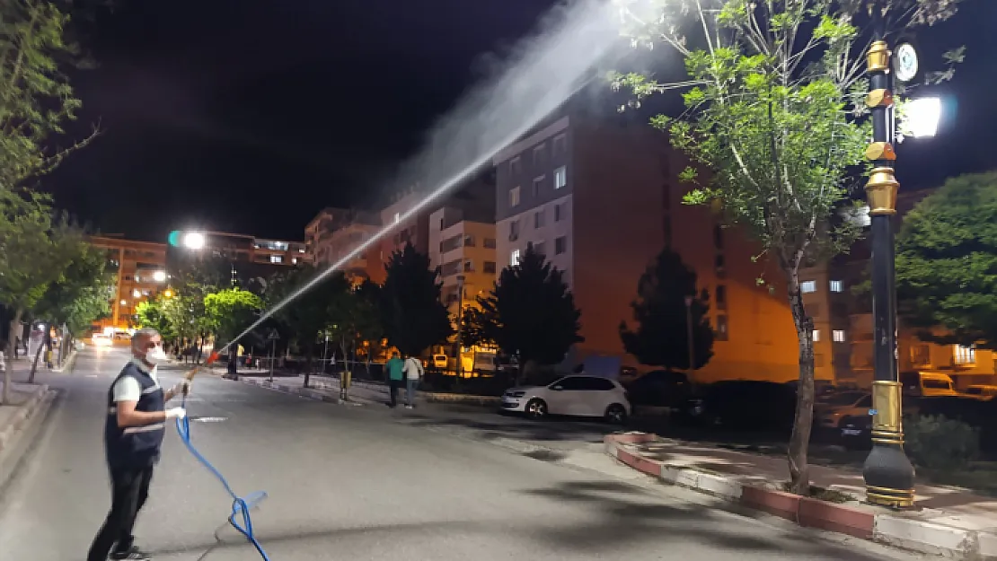 Siirt Belediyesi, Kent Merkezinde İlaçlama Çalışmalarına Hız Verdi!