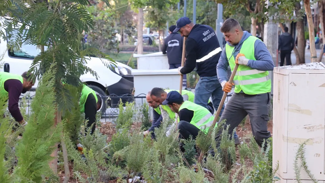 Siirt Belediyesi'nden Yeşil Atak: Kent Merkezinde Yeşillendirme Seferberliği