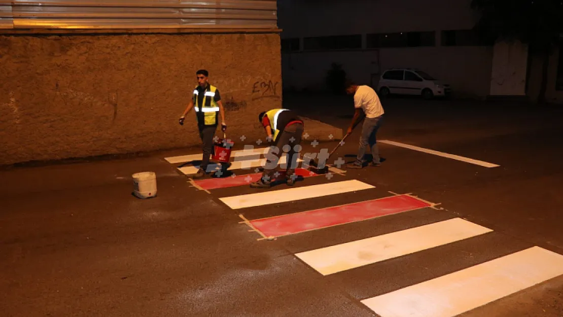 Siirt Belediyesi, Okul Önlerine Yol Çizgisi Ve Yaya Geçidi Çalışması Başlattı