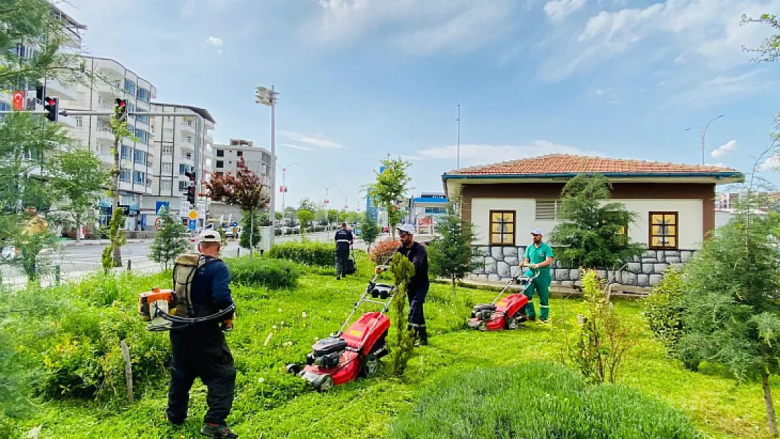 Siirt Belediyesi Park ve Bahçeler Müdürlüğünden Hummalı Çalışma