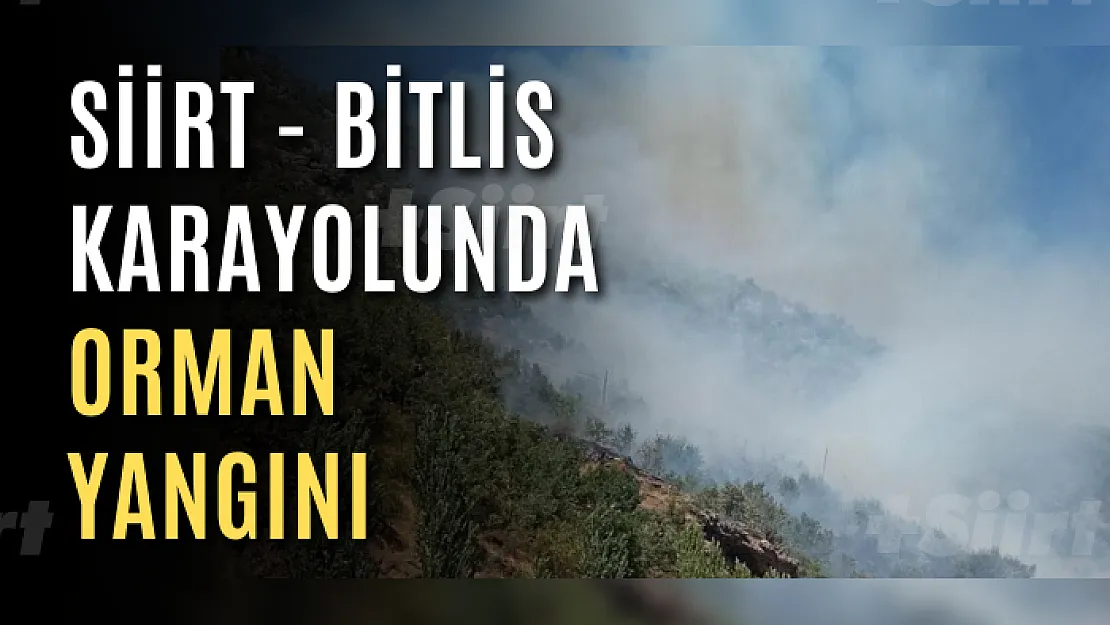 Bitlis'teki orman yangını büyüyor