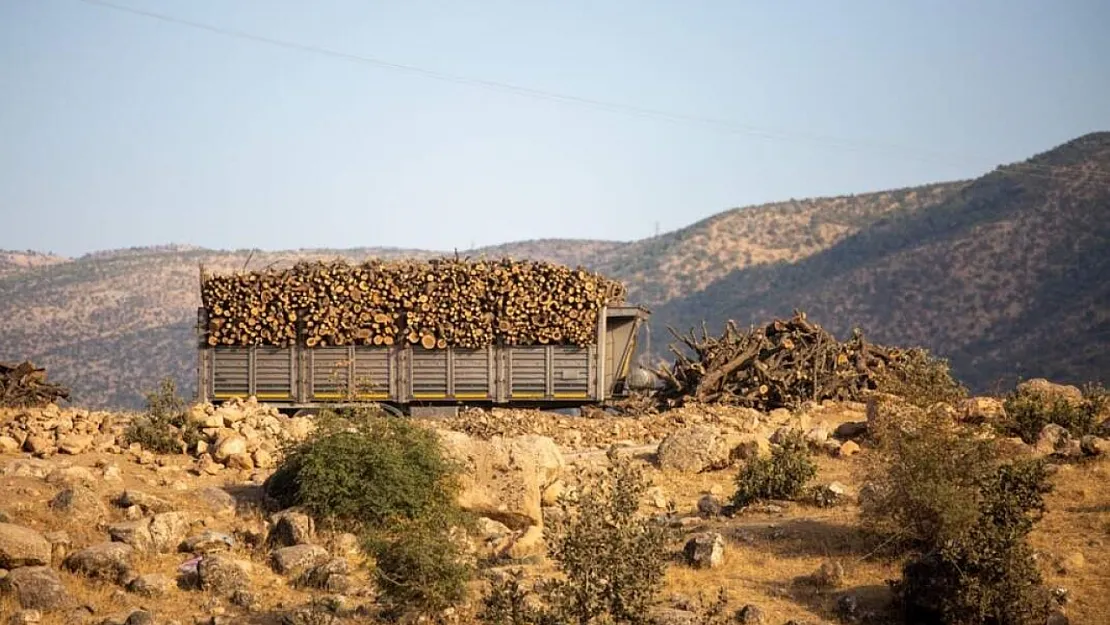 DEM Parti Siirt Milletvekili Sarıtaş, Siirt ve Şırnak'taki Ağaç Kesimlerini Meclis Gündemine Taşıdı