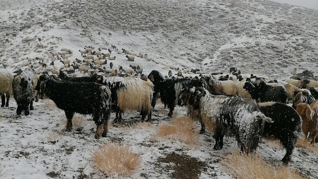 Siirt'e Mevsimin İlk Karı Yağdı!