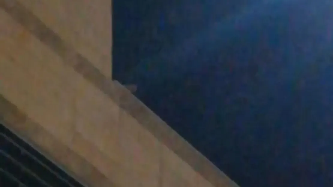 Siirt Eğitim ve Araştırma Hastanesi Çatısında 1 Haftadır Mahsur Kalan Kedi Kurtarılmayı Bekliyor!