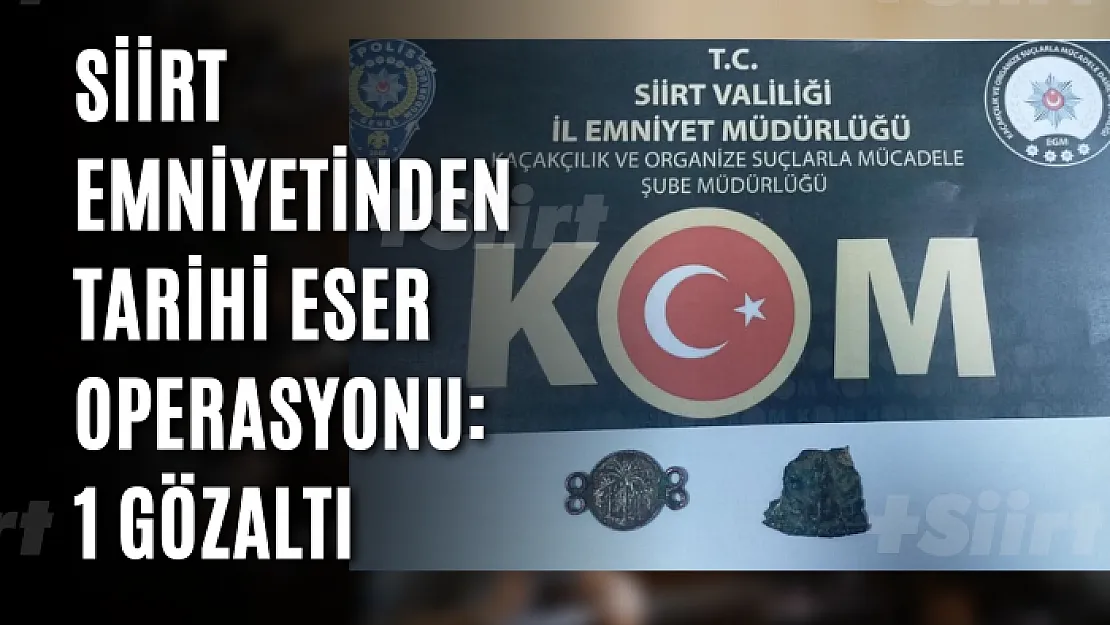 Siirt Emniyetinden Tarihi Eser Operasyonu: 1 Gözaltı