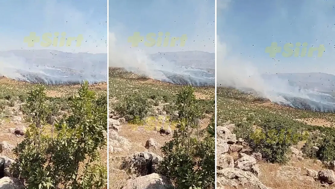 Siirt Eruh'ta Örtü Yangını: Vatandaşlar Kendi İmkânlarıyla Müdahale Ediyor