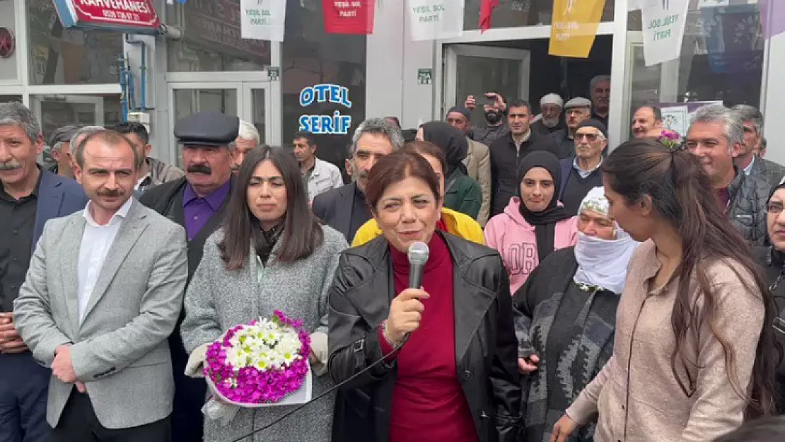 Siirt eski Milletvekili Meral Danış Beştaş Erzurum'dan milletvekili seçildi