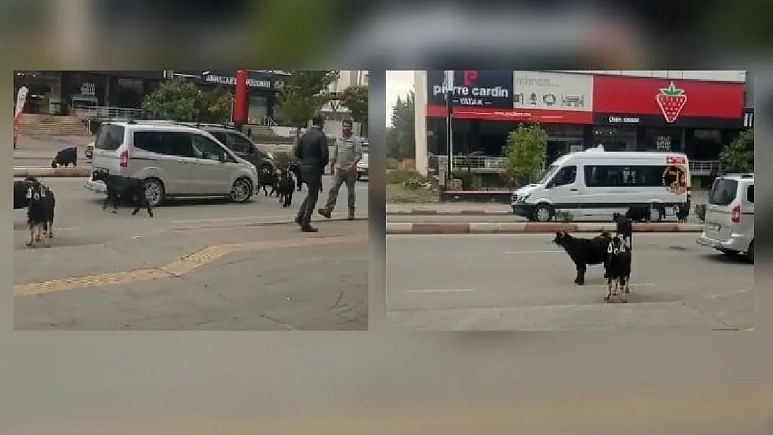 Siirt Eskiye Mi Dönüyor! İstenmeyen Görüntüler Oluşmaya Başladı!