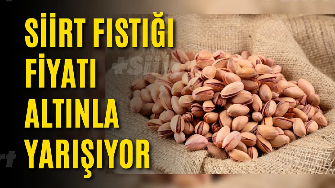 Siirt fıstığı fiyatı altınla yarışıyor