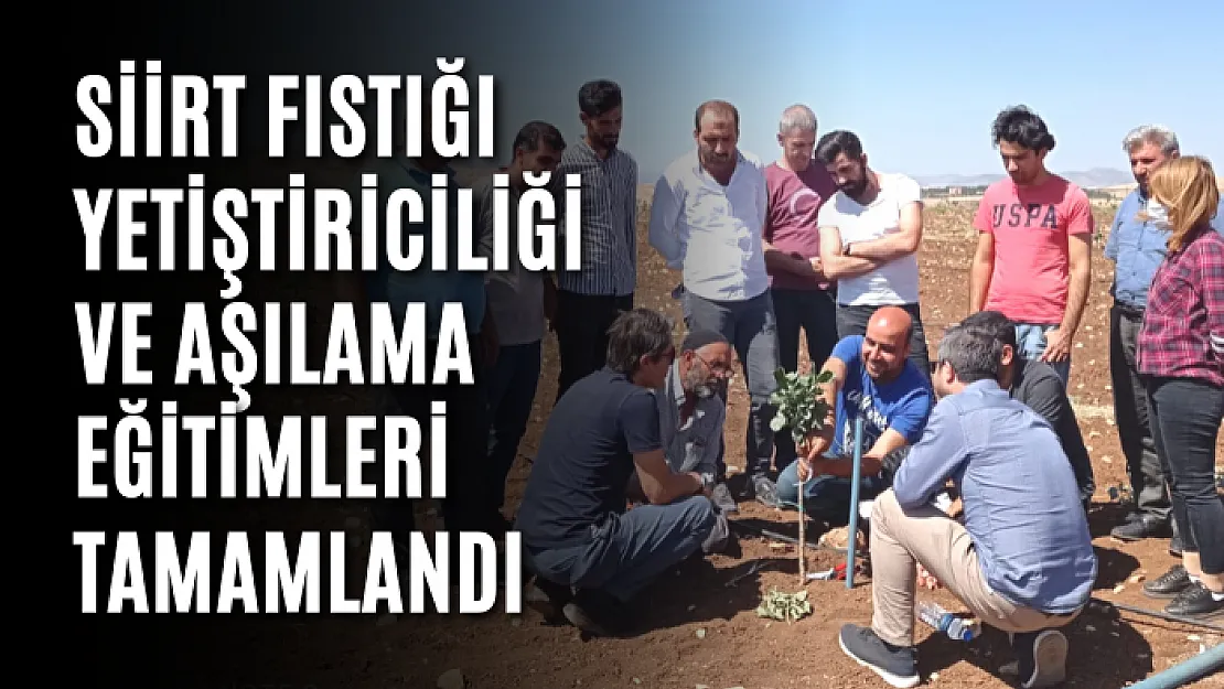 Siirt Fıstığı Yetiştiriciliği ve Aşılama Eğitimleri Tamamlandı