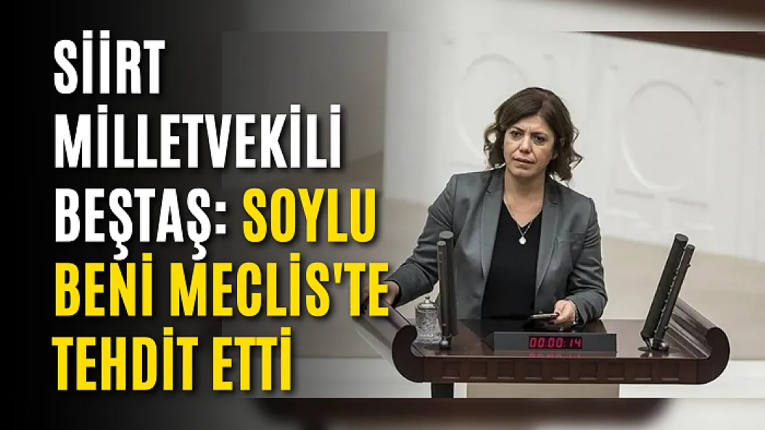 Siirt Milletvekili Beştaş: Soylu beni Meclis'te tehdit etti